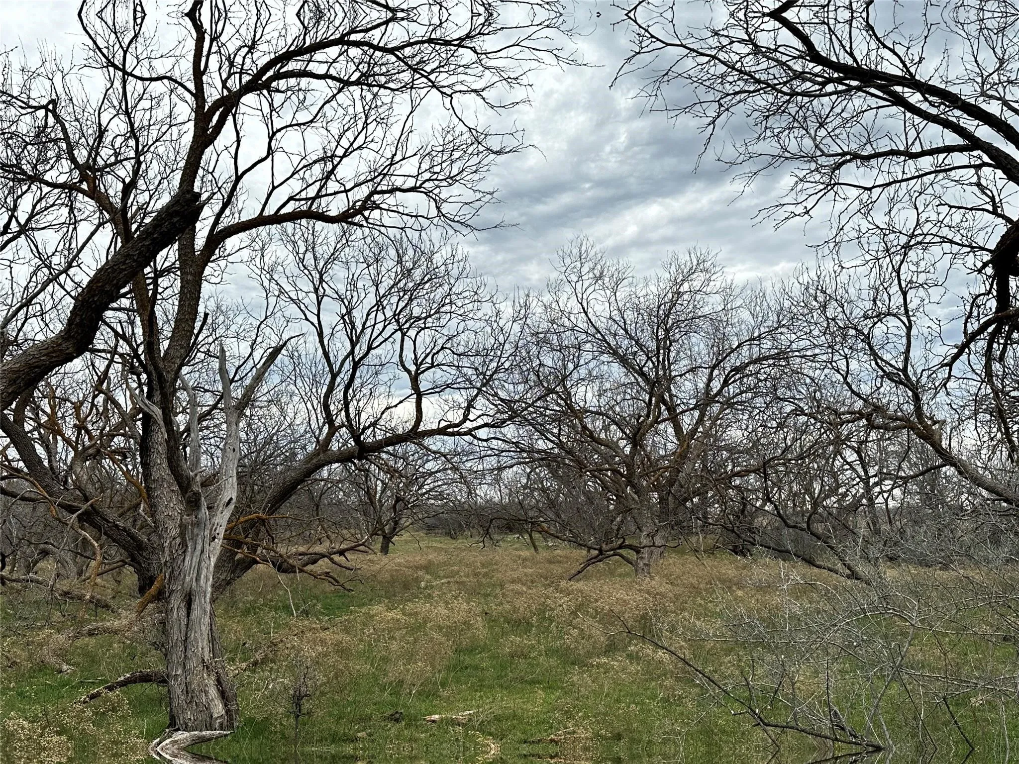 Ranch For Sale in Callahan County , Tract 23 CR 105, Abilene, Texas 79601, 0, 0, Garage spaces, 0 Sqft, built in 0, Price $215,865, mls#21355212, Real Estate Agent in Abilene, Homes For Sale in Callahan county, Homes For Sale in Abilene, Realtor in Abilene Texas, Real Estate Brokerage Independent Realty Texas, Luminita Cordes Realtor