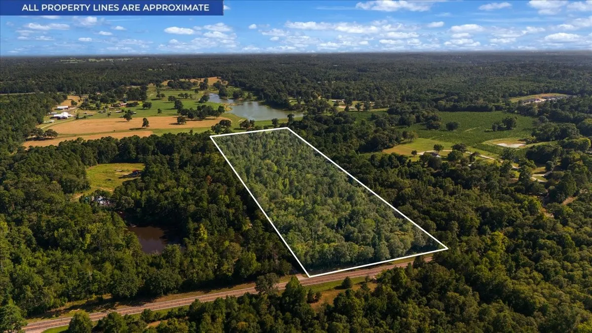 Expansive wooded land parcel bordered by a visible roadway