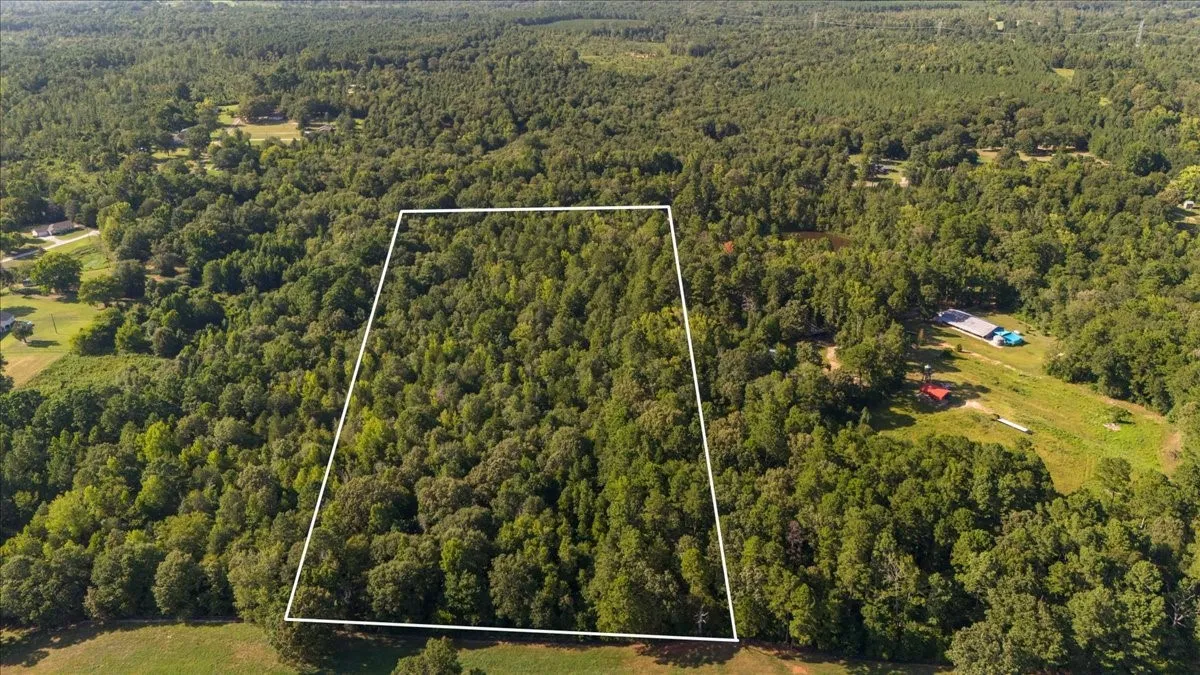Expansive wooded acreage featuring mature trees and a clear property outline