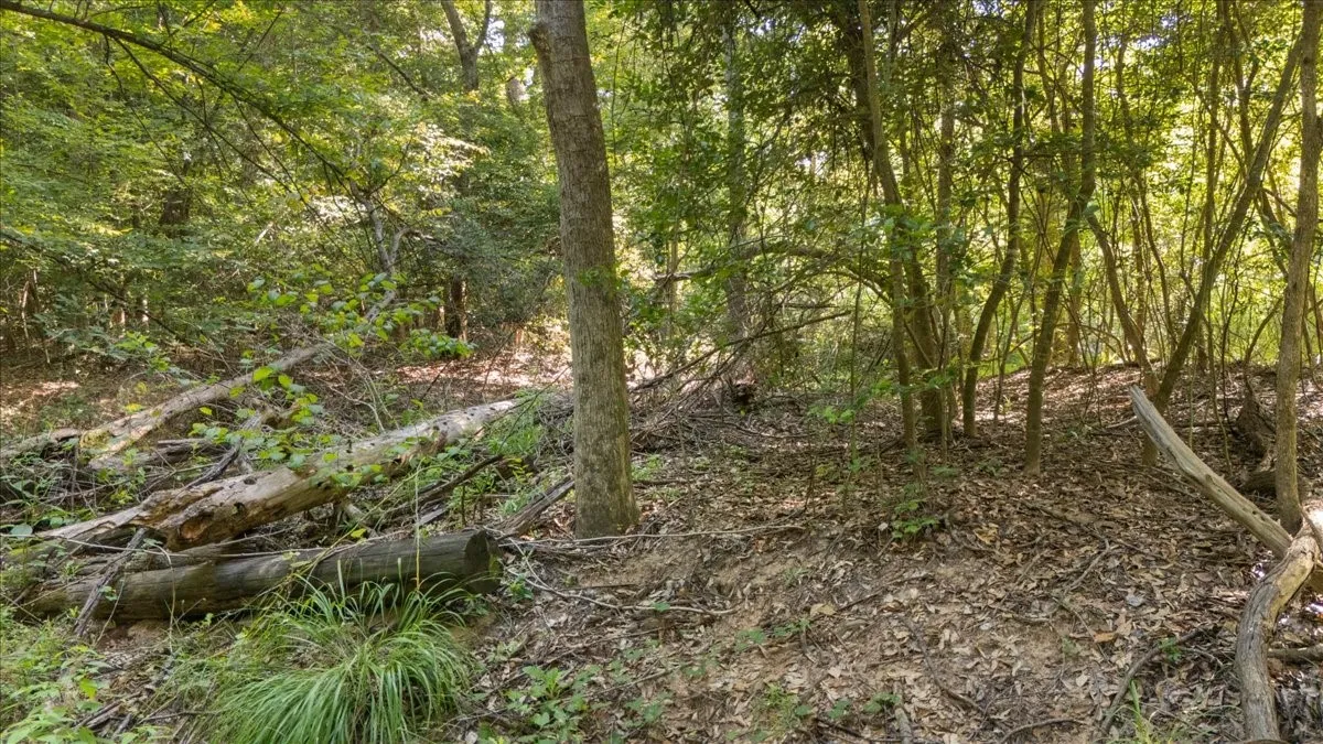 Wooded grounds featuring mature hardwood trees, natural leaf-covered terrain, and rustic wooden footbridges creating charming pathways through the property