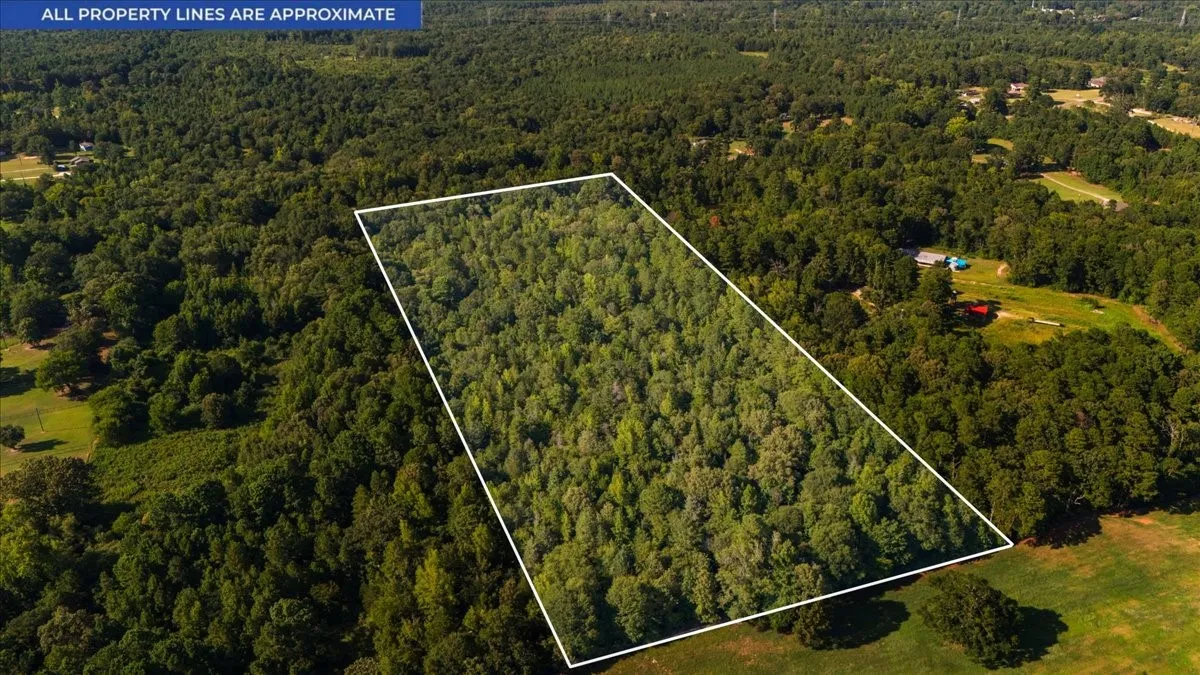 Expansive wooded parcel featuring approximately 40+ acres of mature forest canopy with mixed hardwood and evergreen timber