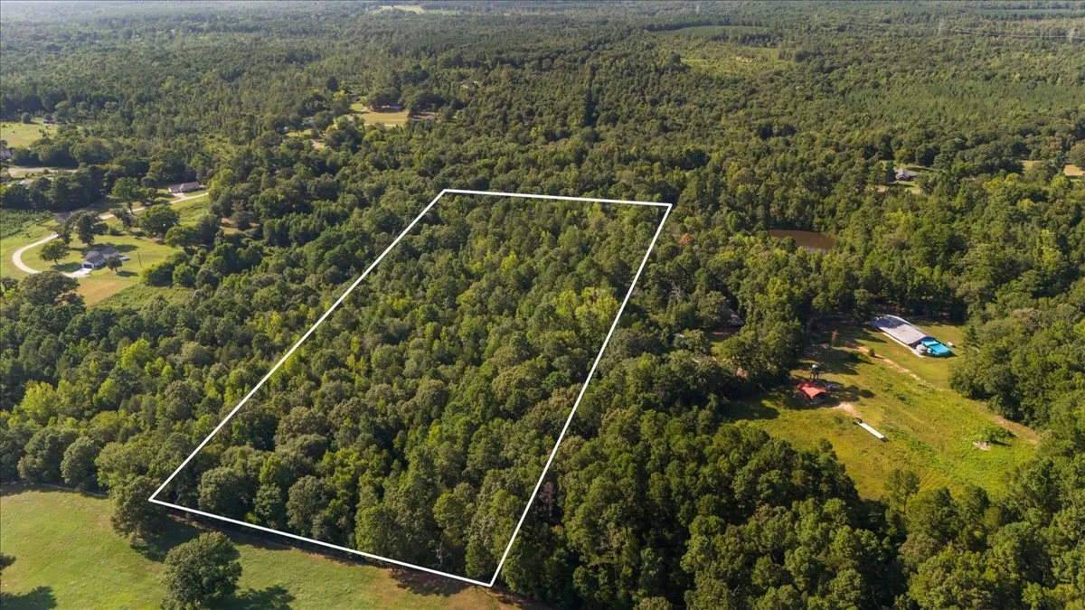 Expansive wooded acreage outlined, featuring dense tree cover and a natural landscape