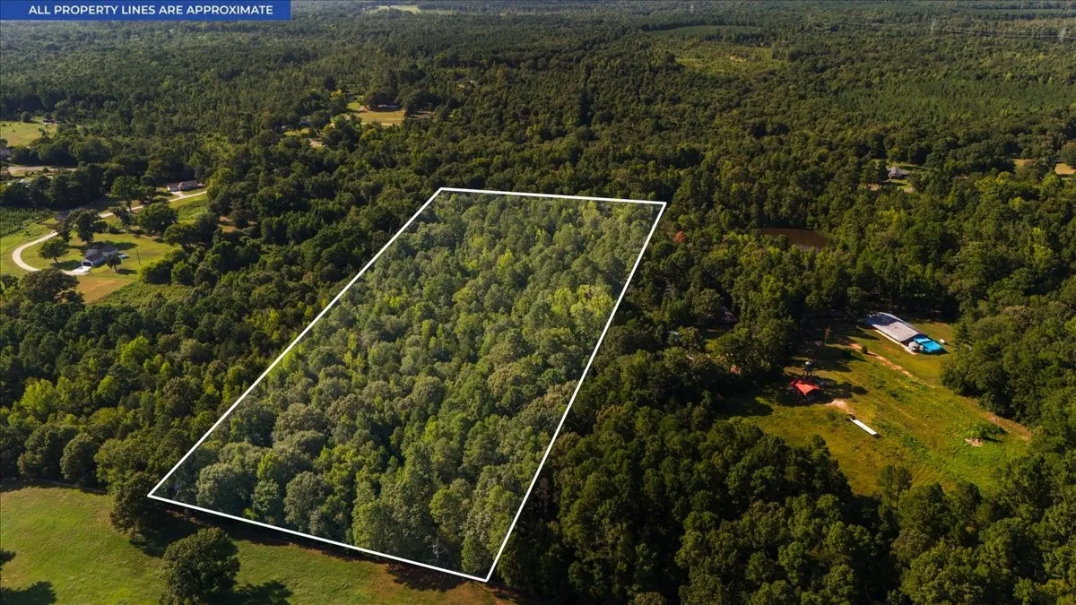 Expansive wooded acreage featuring dense tree coverage