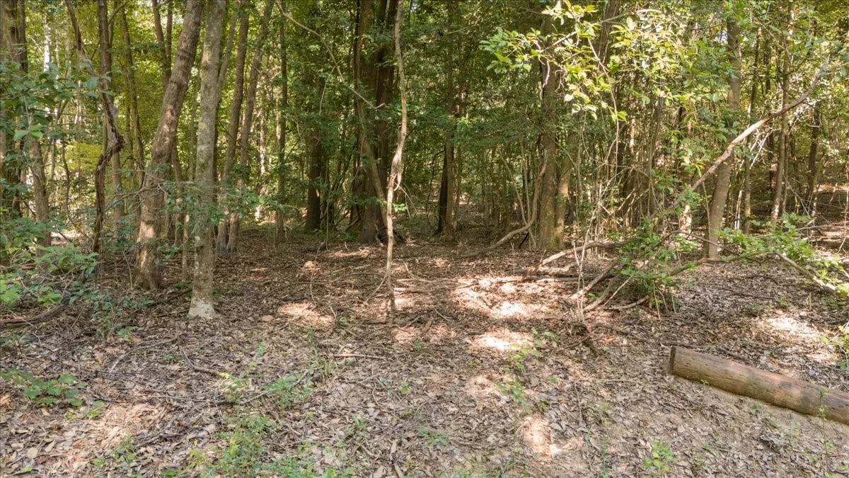 Wooded parcel featuring mature trees, natural ground cover, and a gentle slope