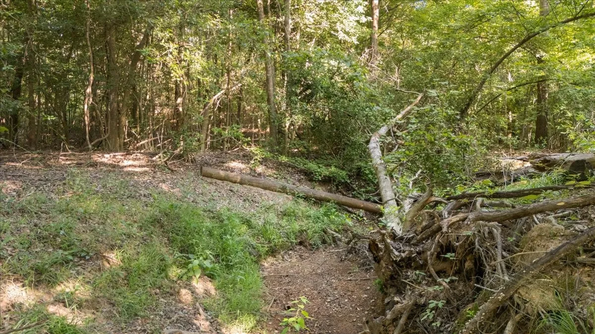 Wooded landscape featuring natural terrain and mature trees