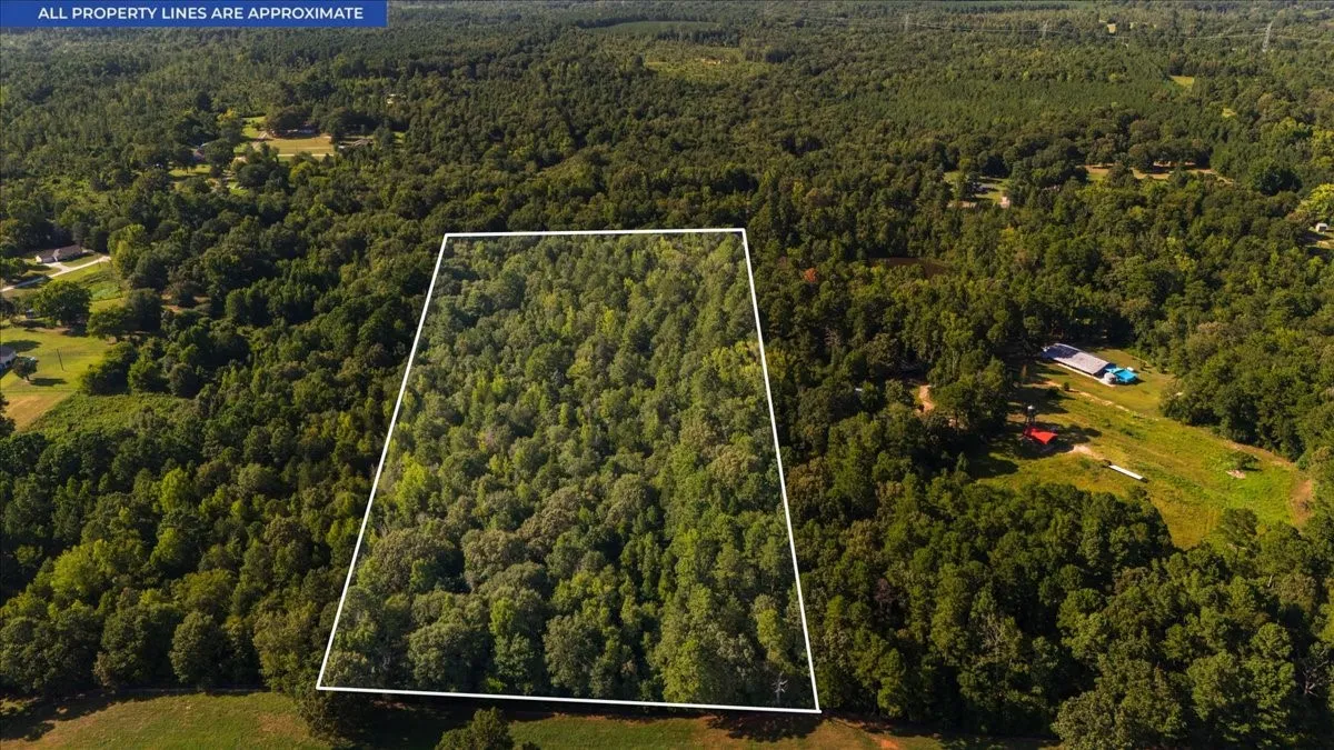 Expansive wooded parcel spanning multiple acres with dense mature tree coverage and cleared perimeter sections