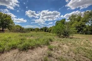 Unimproved Land For Sale in Hunt County , 0000 Aldridge Street, Commerce, Texas 75428, 0, 0, Garage spaces, 0 Sqft, built in 0, Price $295,000, mls#21346426, Real Estate Agent in Commerce, Homes For Sale in Hunt county, Homes For Sale in Commerce, Realtor in Commerce Texas, Real Estate Brokerage Independent Realty Texas, Luminita Cordes Realtor