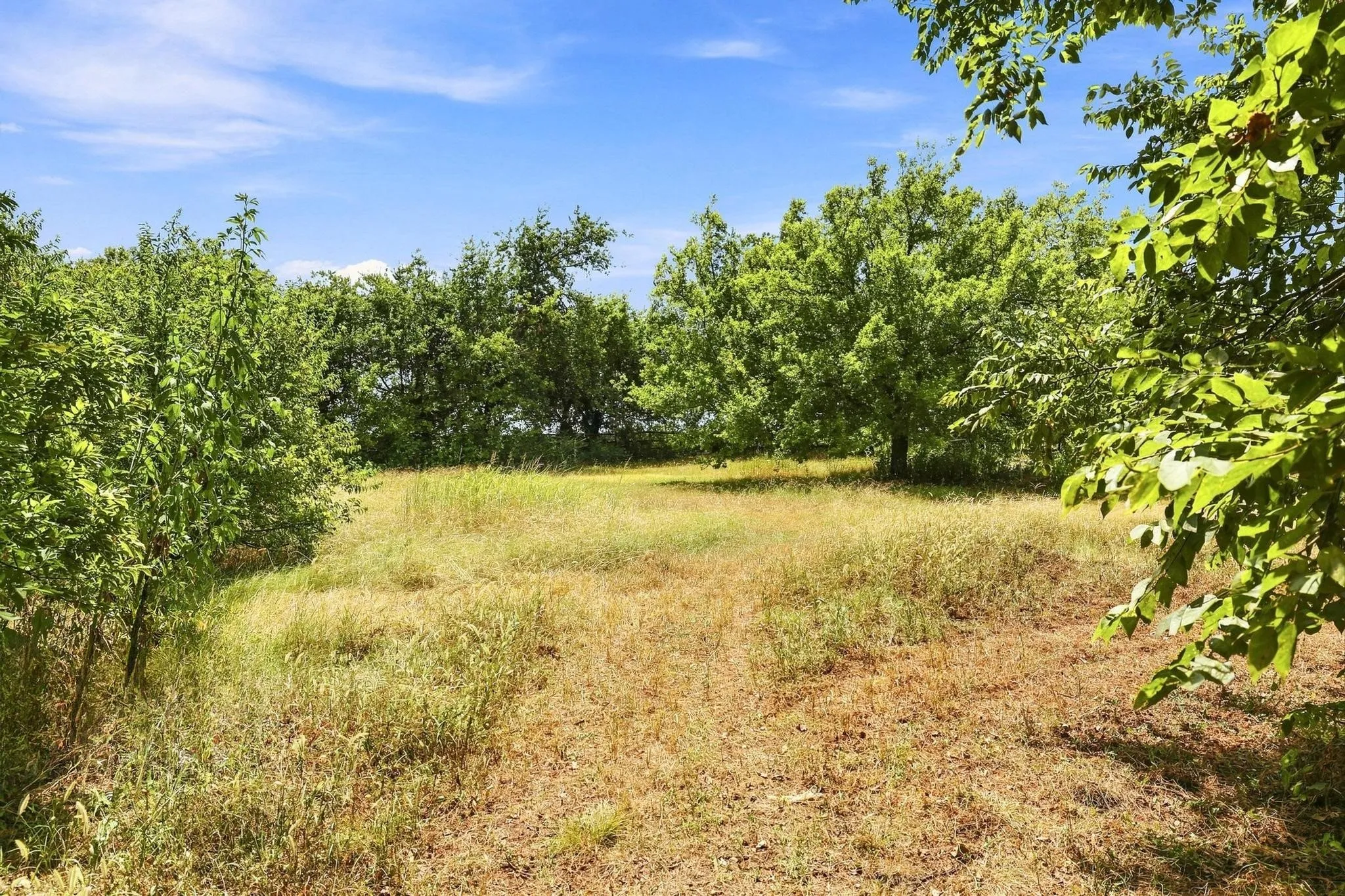 Back of the property