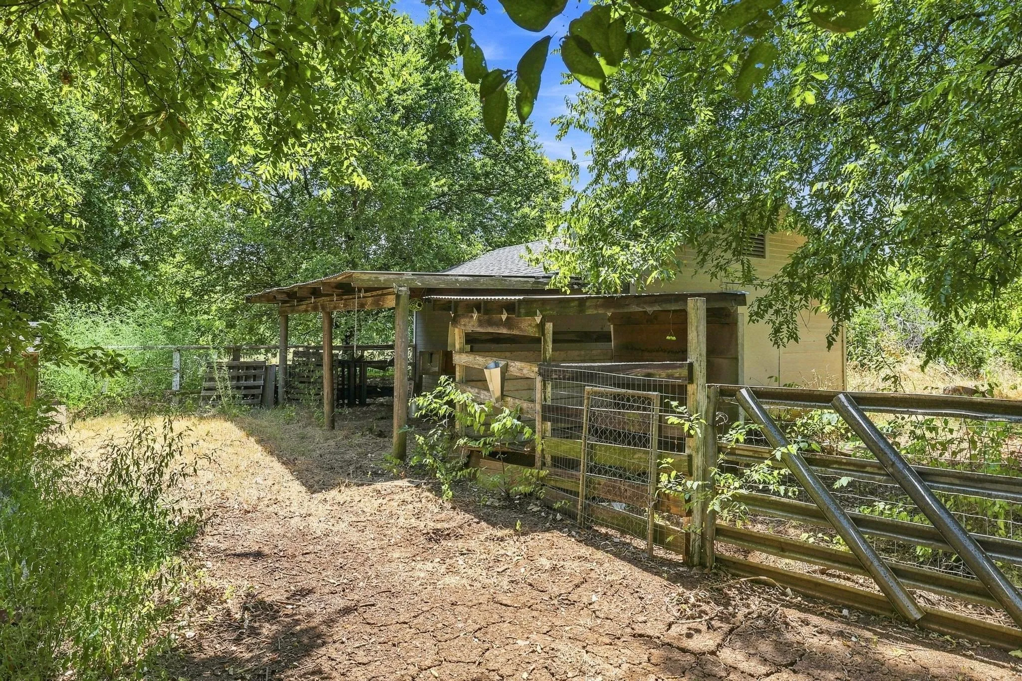 loafing shed and chicken coop area
