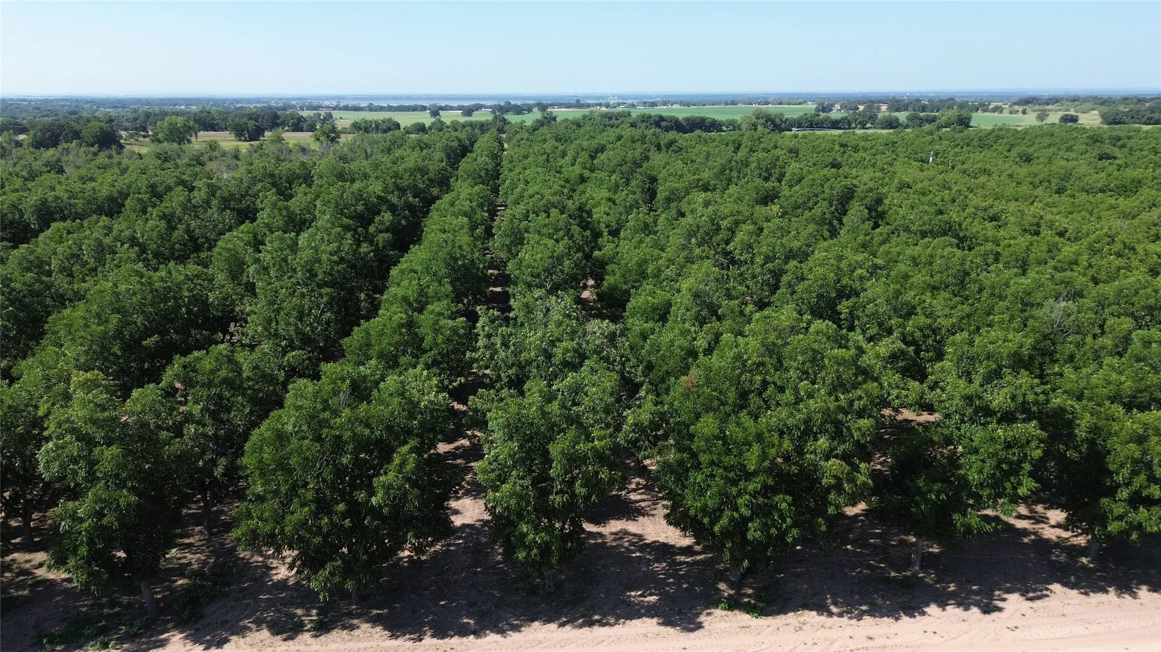 Improved Land For Sale in Comanche County , 0000 FM 1496, Dublin, Texas 76446, 0, 0, Garage spaces, 0 Sqft, built in 0, Price $485,000, mls#21348858, Real Estate Agent in Dublin, Homes For Sale in Comanche county, Homes For Sale in Dublin, Realtor in Dublin Texas, Real Estate Brokerage Independent Realty Texas, Luminita Cordes Realtor