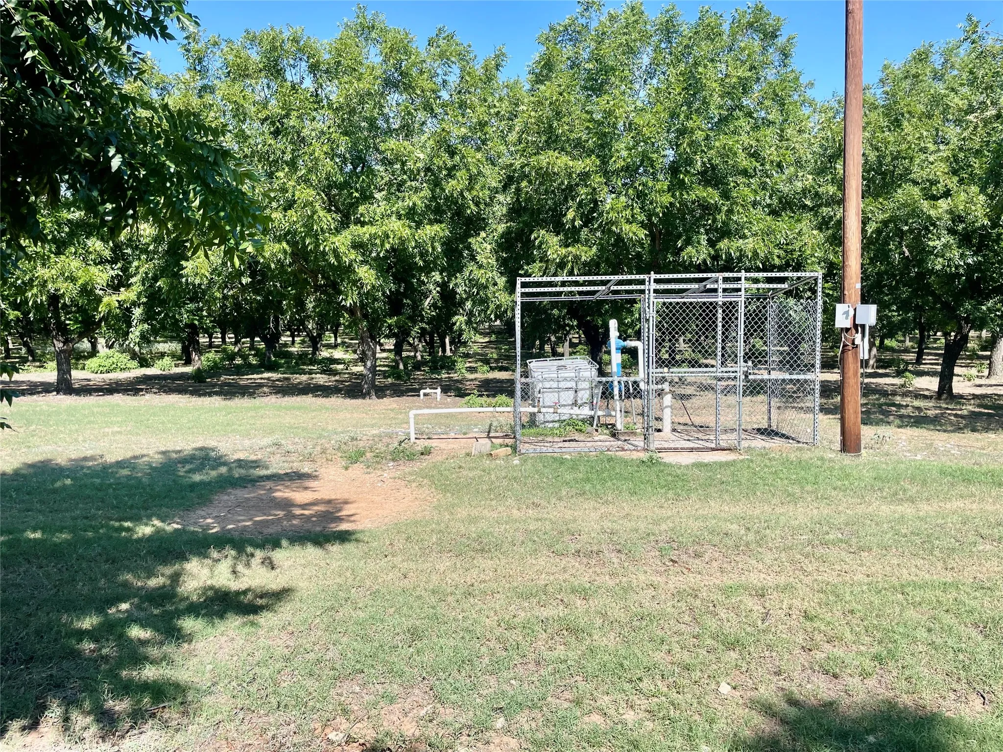 Improved Land For Sale in Comanche County , 0000 FM 1496, Dublin, Texas 76446, 0, 0, Garage spaces, 0 Sqft, built in 0, Price $485,000, mls#21348858, Real Estate Agent in Dublin, Homes For Sale in Comanche county, Homes For Sale in Dublin, Realtor in Dublin Texas, Real Estate Brokerage Independent Realty Texas, Luminita Cordes Realtor