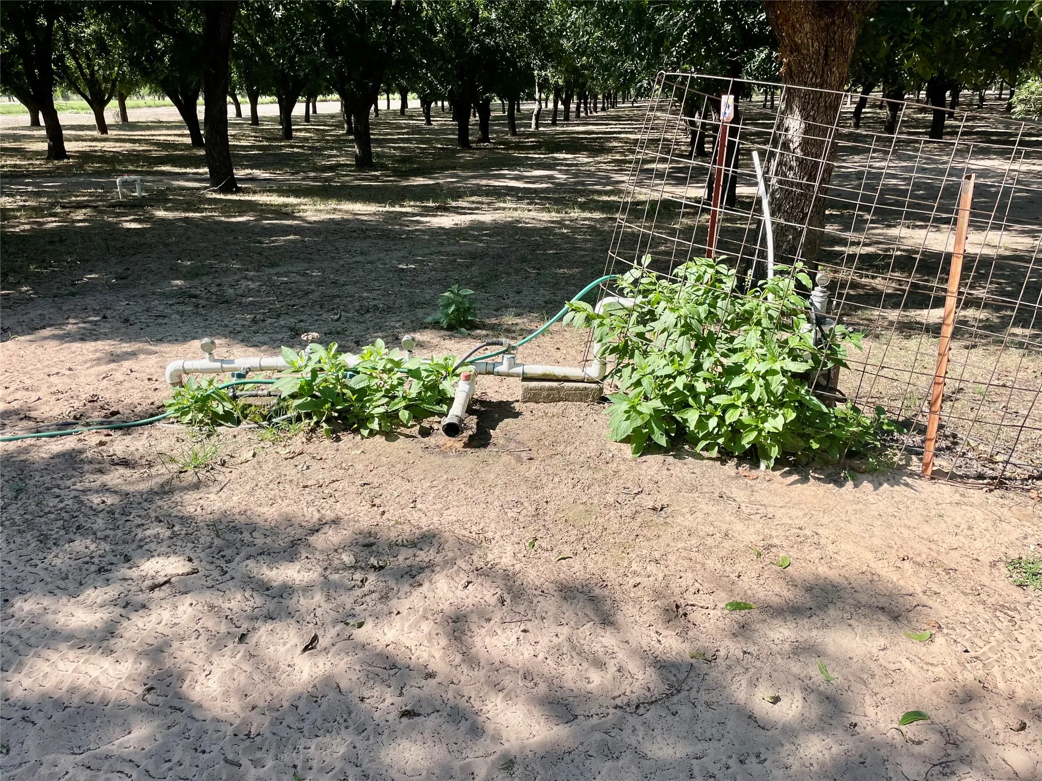 Improved Land For Sale in Comanche County , 0000 FM 1496, Dublin, Texas 76446, 0, 0, Garage spaces, 0 Sqft, built in 0, Price $485,000, mls#21348858, Real Estate Agent in Dublin, Homes For Sale in Comanche county, Homes For Sale in Dublin, Realtor in Dublin Texas, Real Estate Brokerage Independent Realty Texas, Luminita Cordes Realtor