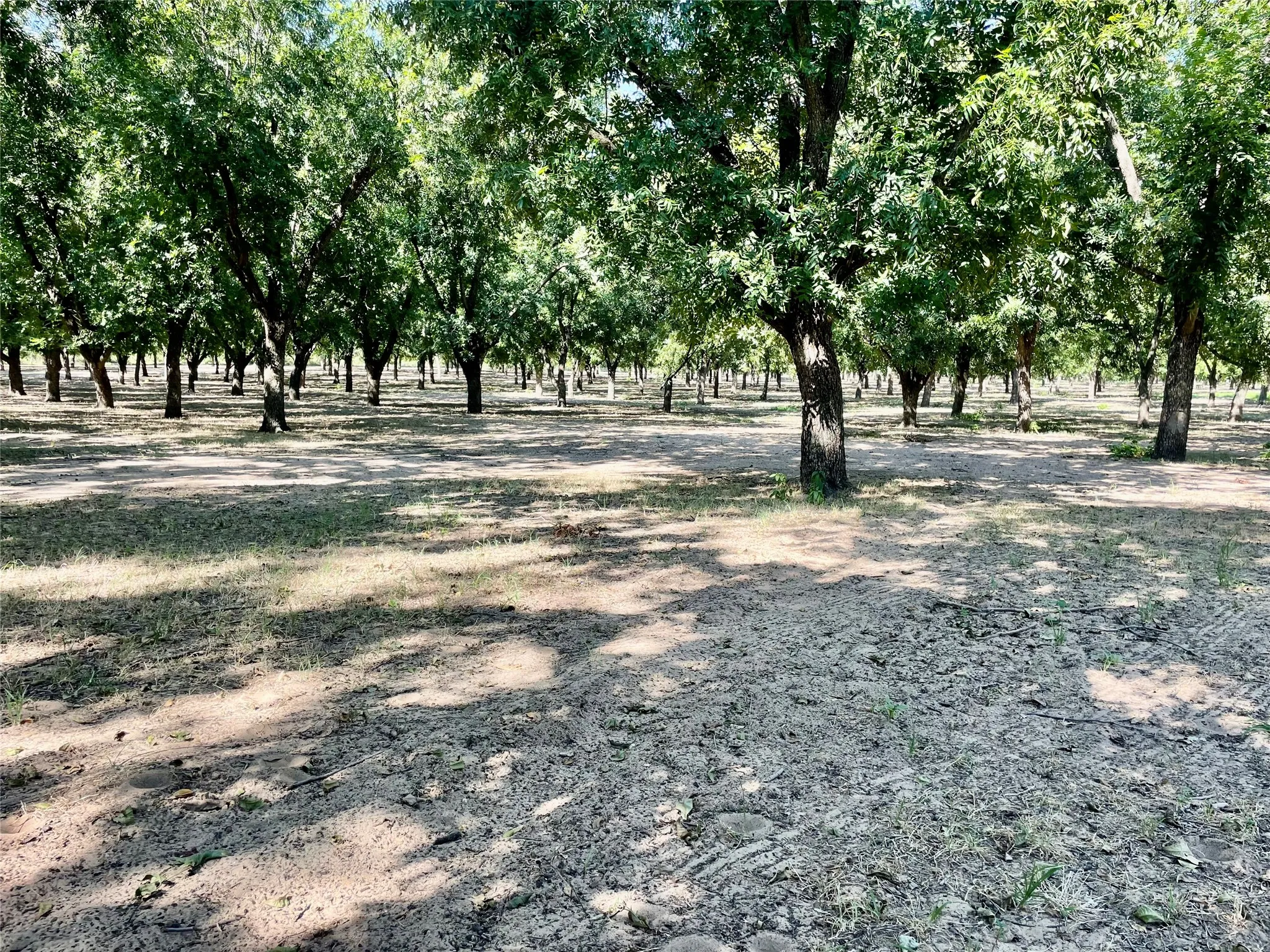 Improved Land For Sale in Comanche County , 0000 FM 1496, Dublin, Texas 76446, 0, 0, Garage spaces, 0 Sqft, built in 0, Price $485,000, mls#21348858, Real Estate Agent in Dublin, Homes For Sale in Comanche county, Homes For Sale in Dublin, Realtor in Dublin Texas, Real Estate Brokerage Independent Realty Texas, Luminita Cordes Realtor