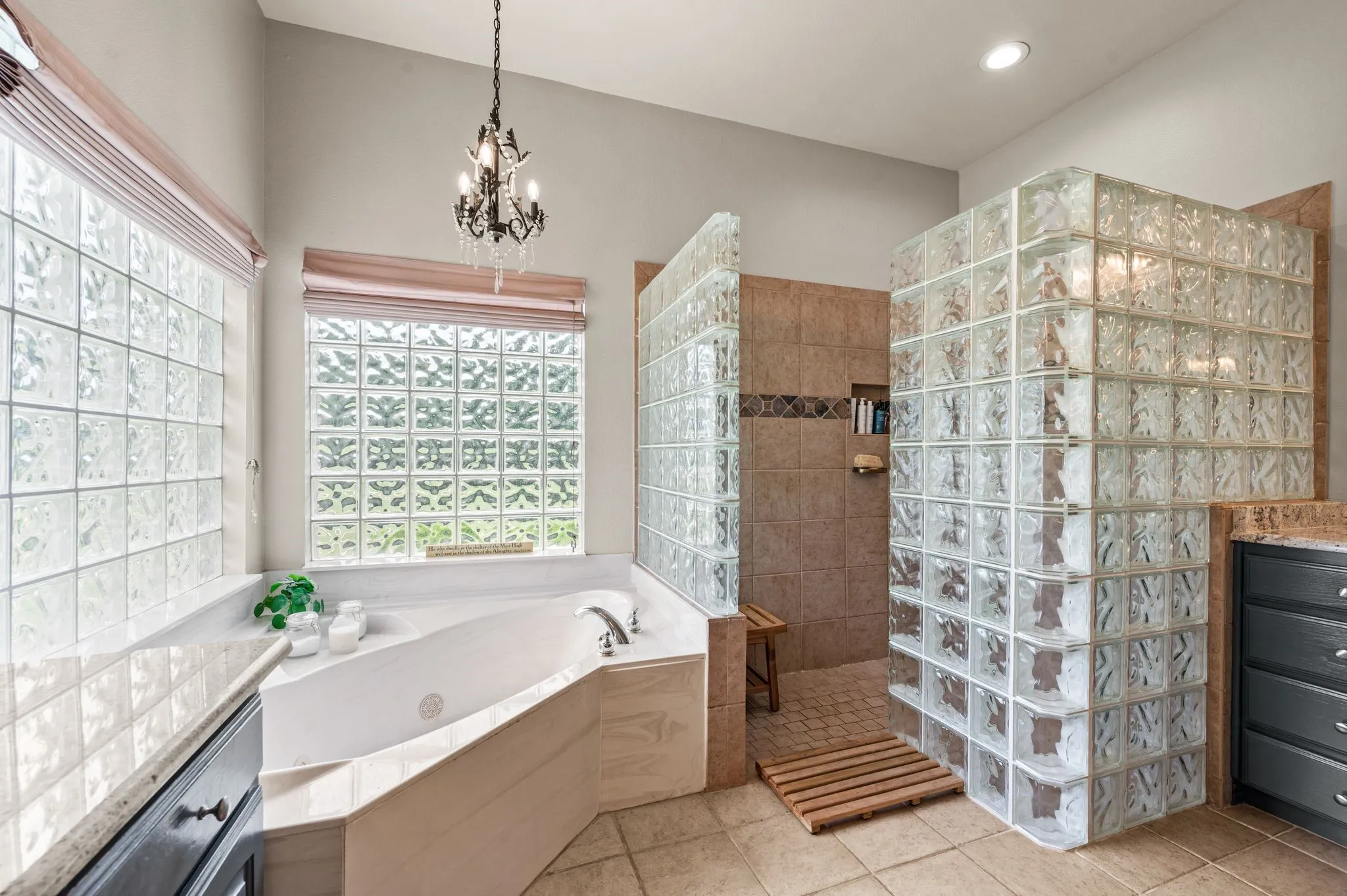 Great light in the Primary Bath