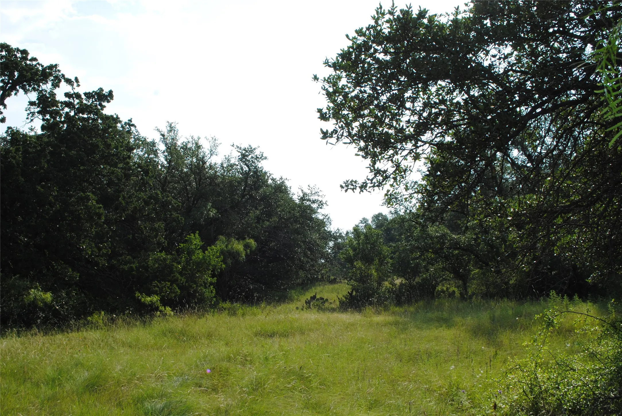 Ranch For Sale in Comanche County , 0000 Cr 190, Comanche, Texas 76442, 0, 0, Garage spaces, 0 Sqft, built in 0, Price $3,950,000, mls#21331900, Real Estate Agent in Comanche, Homes For Sale in Comanche county, Homes For Sale in Comanche, Realtor in Comanche Texas, Real Estate Brokerage Independent Realty Texas, Luminita Cordes Realtor