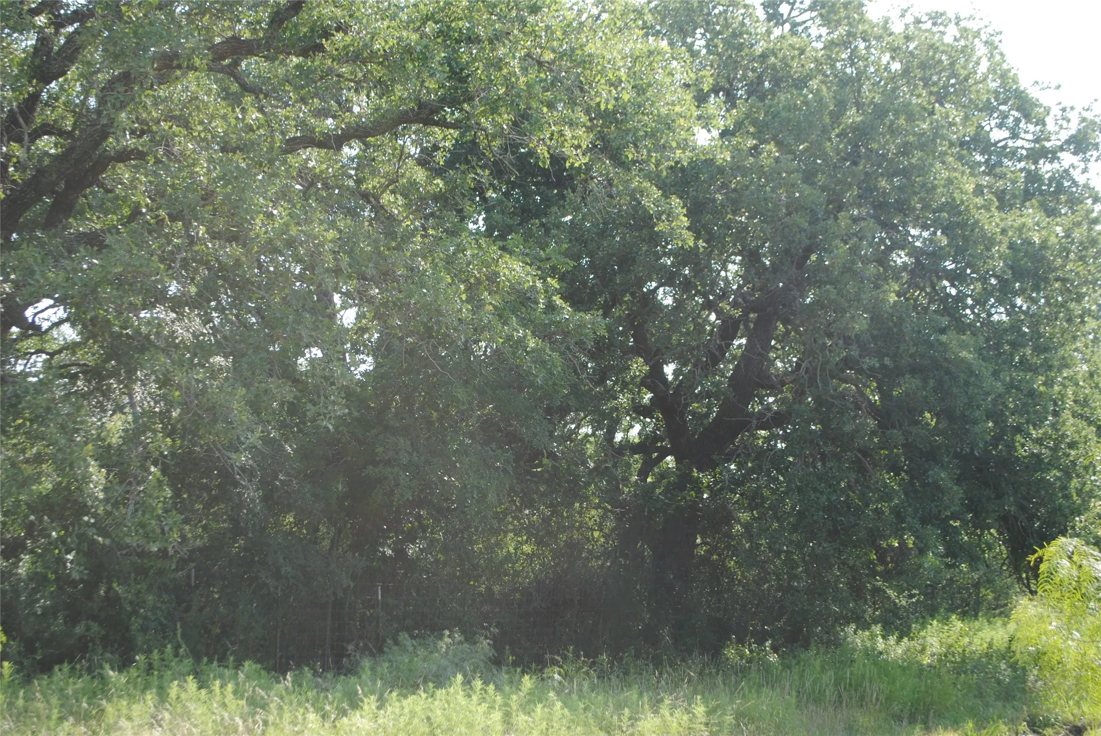 Ranch For Sale in Comanche County , 0000 Cr 190, Comanche, Texas 76442, 0, 0, Garage spaces, 0 Sqft, built in 0, Price $3,950,000, mls#21331900, Real Estate Agent in Comanche, Homes For Sale in Comanche county, Homes For Sale in Comanche, Realtor in Comanche Texas, Real Estate Brokerage Independent Realty Texas, Luminita Cordes Realtor