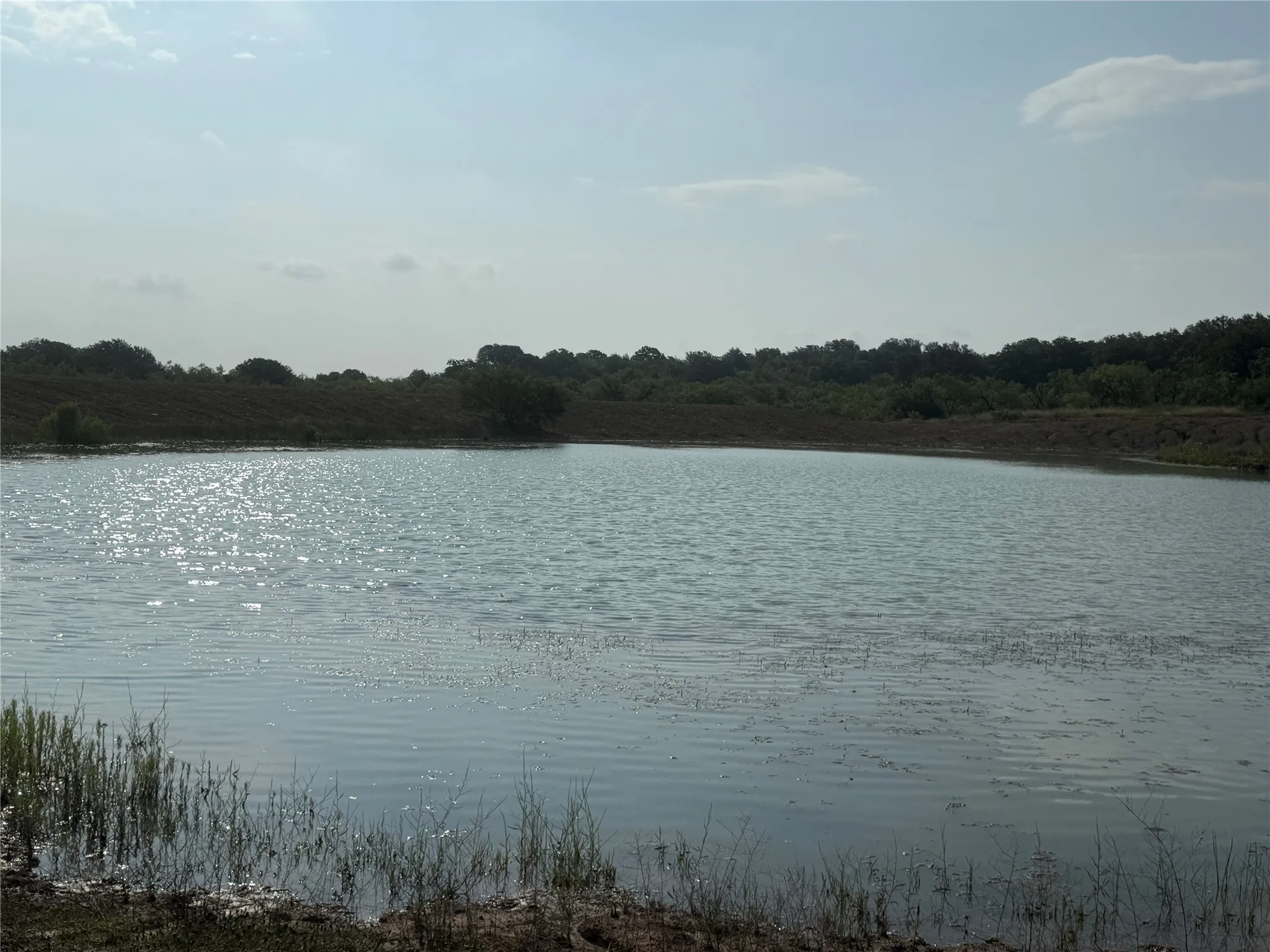 Ranch For Sale in Comanche County , 0000 Cr 190, Comanche, Texas 76442, 0, 0, Garage spaces, 0 Sqft, built in 0, Price $3,950,000, mls#21331900, Real Estate Agent in Comanche, Homes For Sale in Comanche county, Homes For Sale in Comanche, Realtor in Comanche Texas, Real Estate Brokerage Independent Realty Texas, Luminita Cordes Realtor