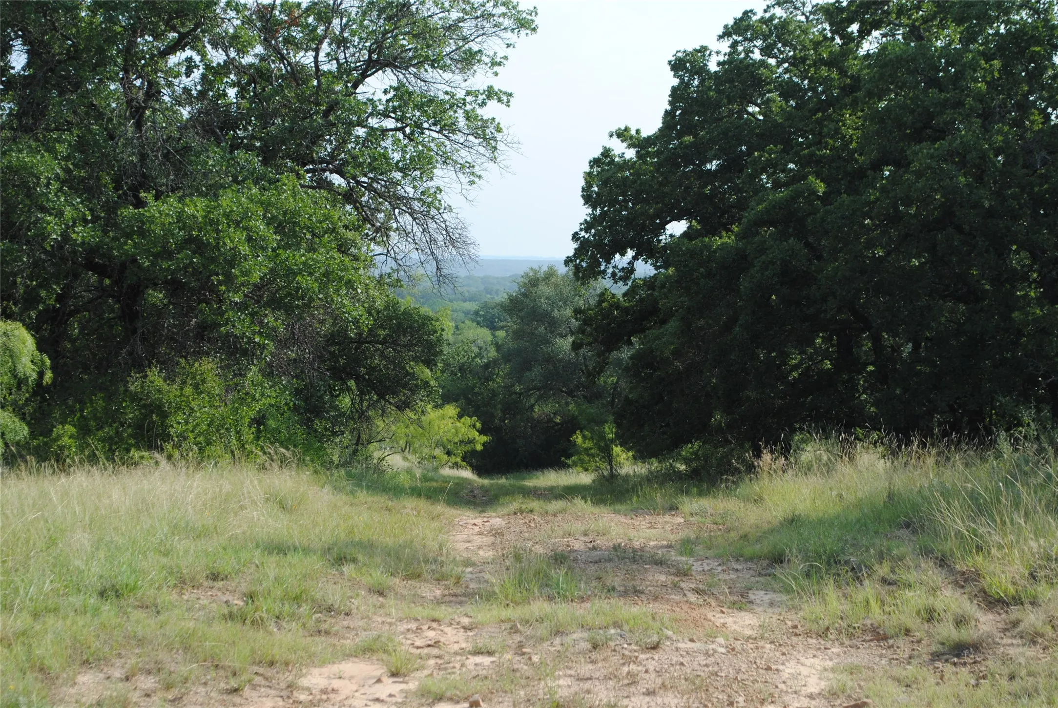 Ranch For Sale in Comanche County , 0000 Cr 190, Comanche, Texas 76442, 0, 0, Garage spaces, 0 Sqft, built in 0, Price $3,950,000, mls#21331900, Real Estate Agent in Comanche, Homes For Sale in Comanche county, Homes For Sale in Comanche, Realtor in Comanche Texas, Real Estate Brokerage Independent Realty Texas, Luminita Cordes Realtor