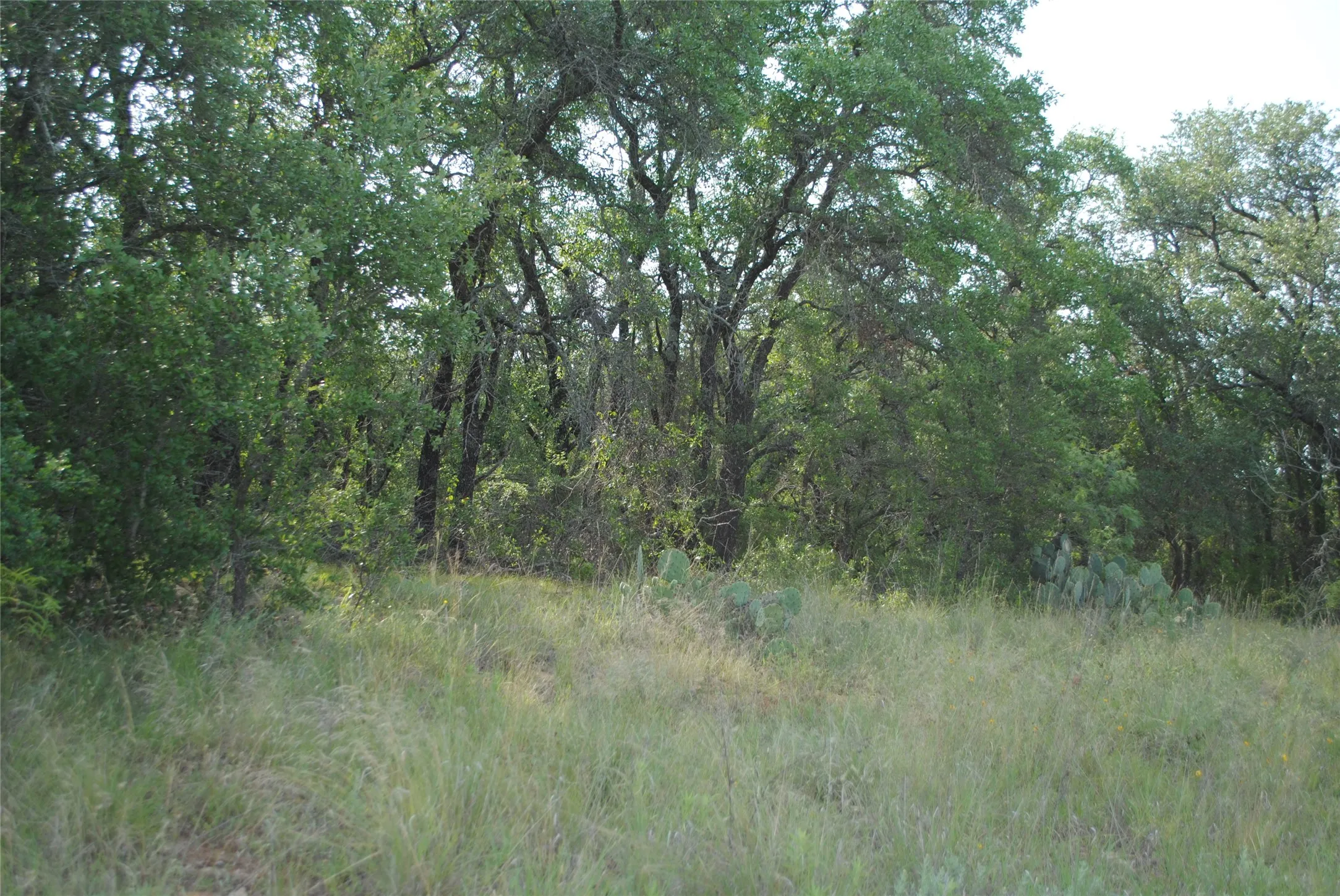 Ranch For Sale in Comanche County , 0000 Cr 190, Comanche, Texas 76442, 0, 0, Garage spaces, 0 Sqft, built in 0, Price $3,950,000, mls#21331900, Real Estate Agent in Comanche, Homes For Sale in Comanche county, Homes For Sale in Comanche, Realtor in Comanche Texas, Real Estate Brokerage Independent Realty Texas, Luminita Cordes Realtor
