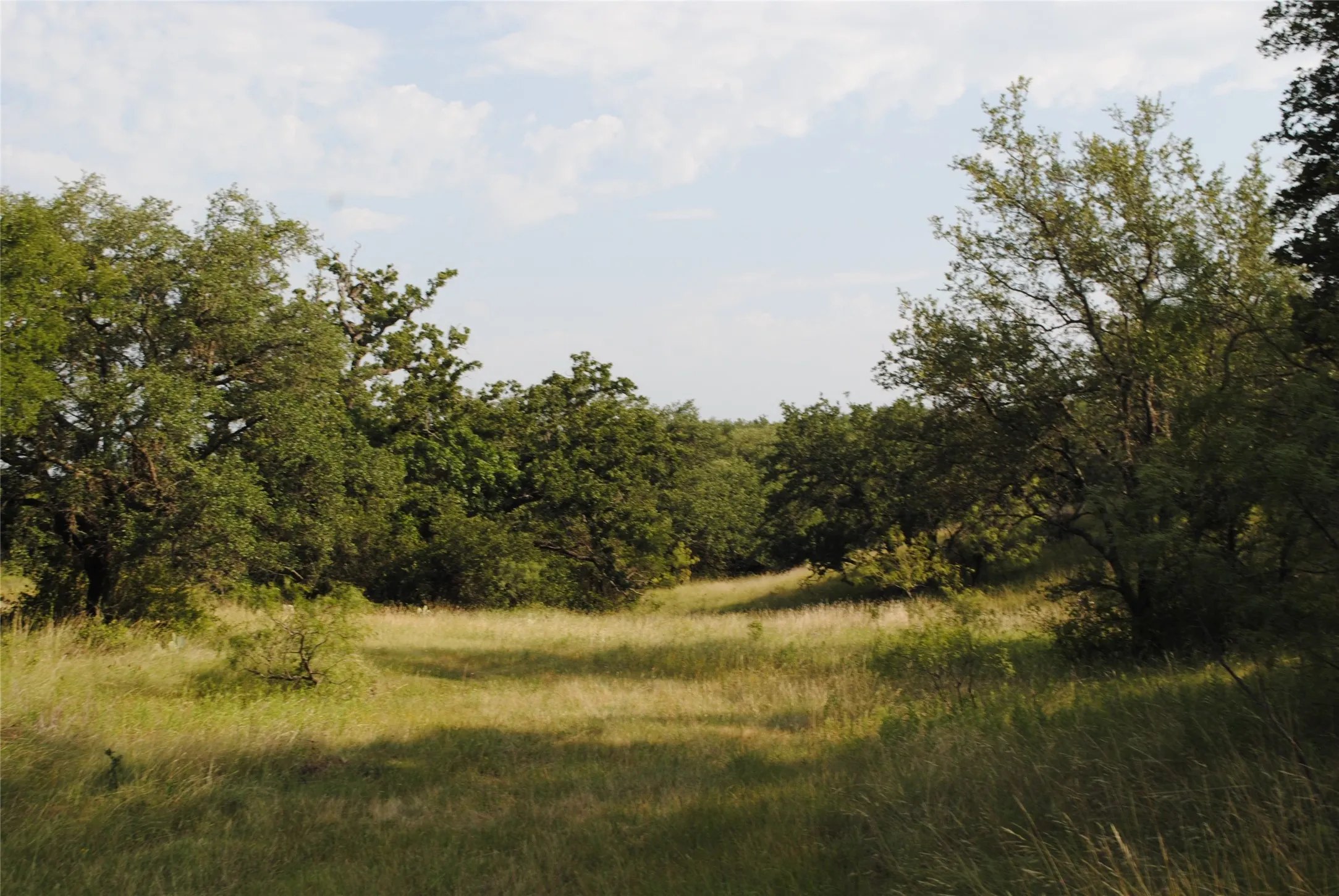 Ranch For Sale in Comanche County , 0000 Cr 190, Comanche, Texas 76442, 0, 0, Garage spaces, 0 Sqft, built in 0, Price $3,950,000, mls#21331900, Real Estate Agent in Comanche, Homes For Sale in Comanche county, Homes For Sale in Comanche, Realtor in Comanche Texas, Real Estate Brokerage Independent Realty Texas, Luminita Cordes Realtor