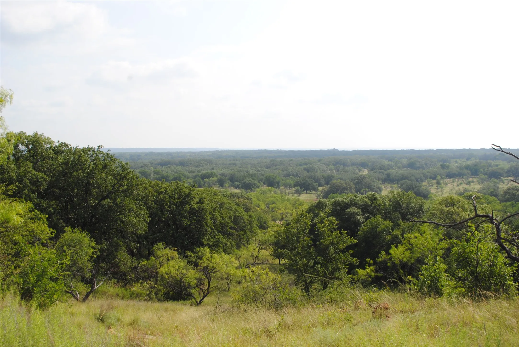 Ranch For Sale in Comanche County , 0000 Cr 190, Comanche, Texas 76442, 0, 0, Garage spaces, 0 Sqft, built in 0, Price $3,950,000, mls#21331900, Real Estate Agent in Comanche, Homes For Sale in Comanche county, Homes For Sale in Comanche, Realtor in Comanche Texas, Real Estate Brokerage Independent Realty Texas, Luminita Cordes Realtor