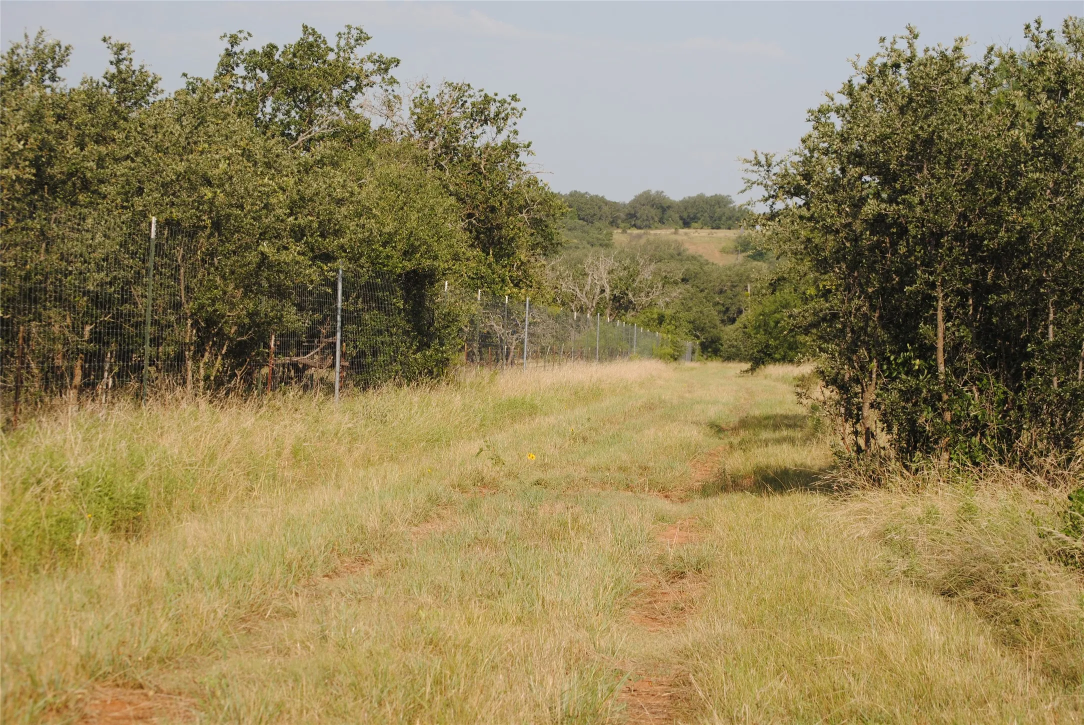Ranch For Sale in Comanche County , 0000 Cr 190, Comanche, Texas 76442, 0, 0, Garage spaces, 0 Sqft, built in 0, Price $3,950,000, mls#21331900, Real Estate Agent in Comanche, Homes For Sale in Comanche county, Homes For Sale in Comanche, Realtor in Comanche Texas, Real Estate Brokerage Independent Realty Texas, Luminita Cordes Realtor