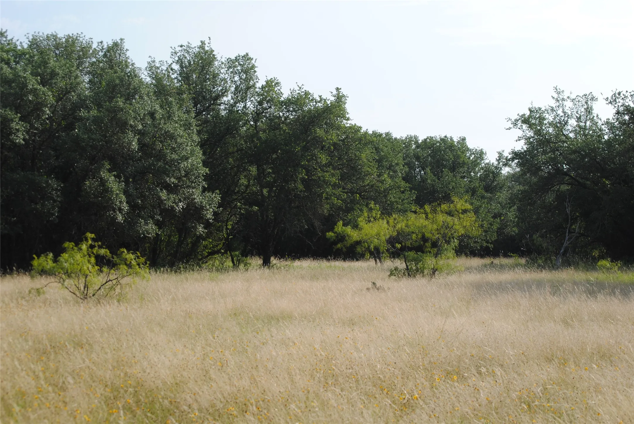 Ranch For Sale in Comanche County , 0000 Cr 190, Comanche, Texas 76442, 0, 0, Garage spaces, 0 Sqft, built in 0, Price $3,950,000, mls#21331900, Real Estate Agent in Comanche, Homes For Sale in Comanche county, Homes For Sale in Comanche, Realtor in Comanche Texas, Real Estate Brokerage Independent Realty Texas, Luminita Cordes Realtor