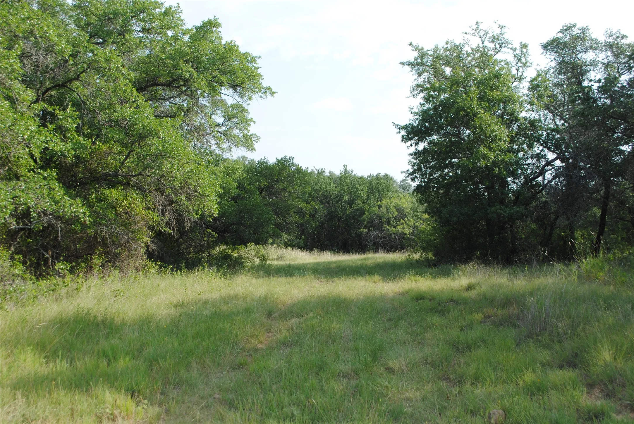 Ranch For Sale in Comanche County , 0000 Cr 190, Comanche, Texas 76442, 0, 0, Garage spaces, 0 Sqft, built in 0, Price $3,950,000, mls#21331900, Real Estate Agent in Comanche, Homes For Sale in Comanche county, Homes For Sale in Comanche, Realtor in Comanche Texas, Real Estate Brokerage Independent Realty Texas, Luminita Cordes Realtor