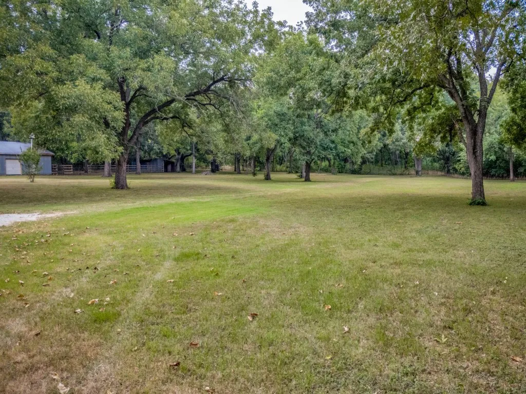 Yard