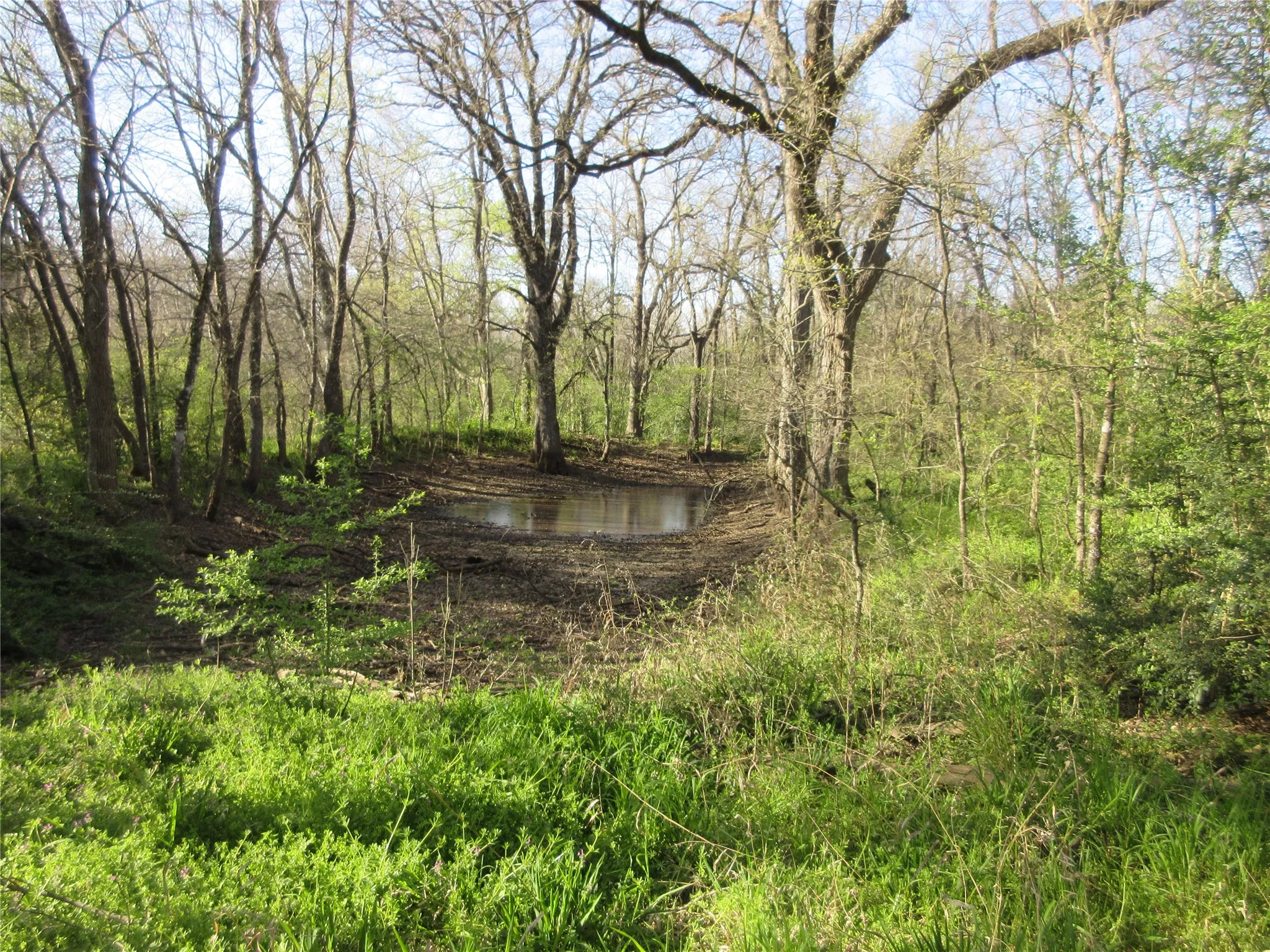 two of two ponds