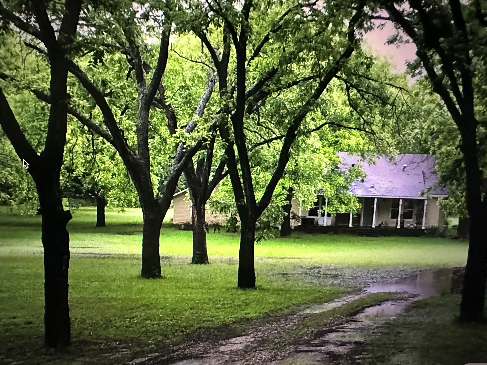 First look from easement