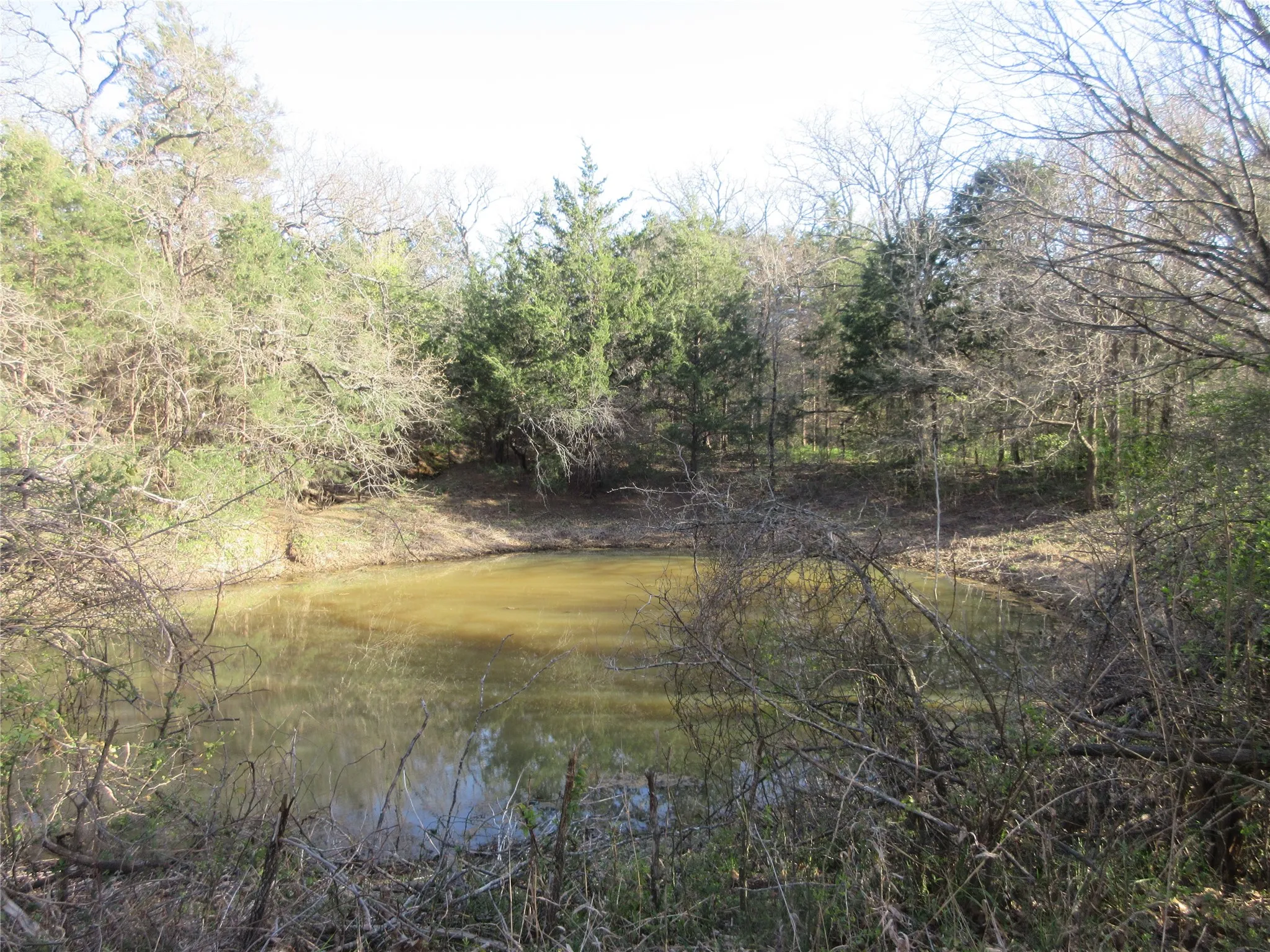 one of two ponds