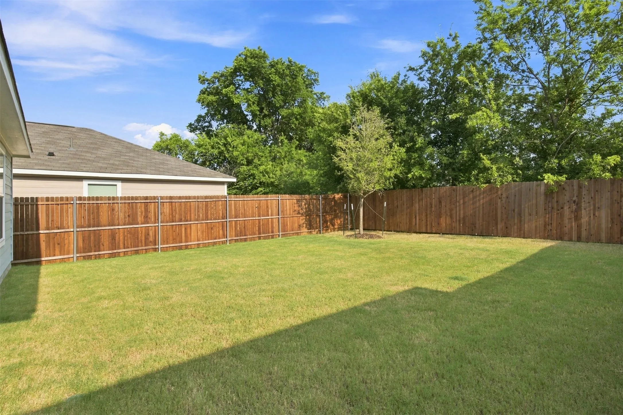 Expansive green lawn with a full privacy fence