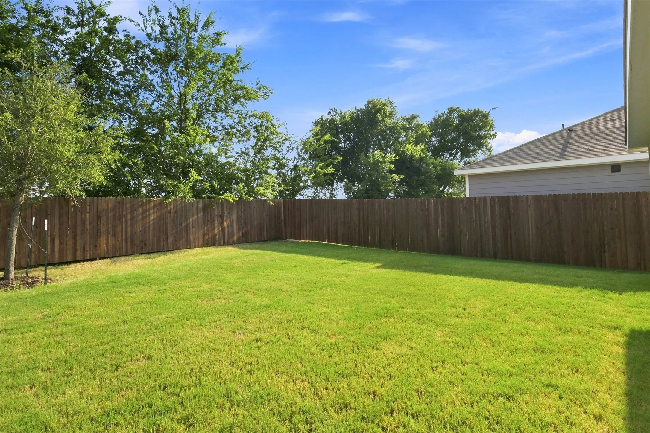 Expansive green lawn with a wood privacy fence