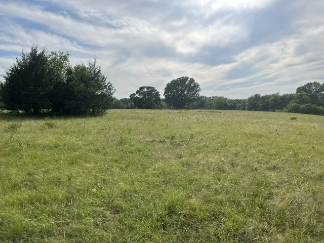 Unimproved Land For Sale in Lamar County , 000 CR 15580, Paris, Texas 75462, 0, 0, Garage spaces, 0 Sqft, built in 0, mls#21355542, Real Estate Agent in Paris, Homes For Sale in Lamar county, Homes For Sale in Paris, Realtor in Paris Texas, Real Estate Brokerage Independent Realty Texas, Luminita Cordes Realtor