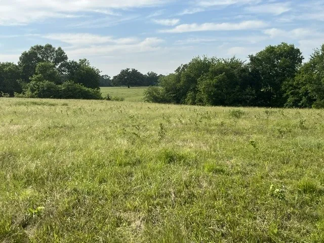 Unimproved Land For Sale in Lamar County , 000 CR 15580, Paris, Texas 75462, 0, 0, Garage spaces, 0 Sqft, built in 0, mls#21355542, Real Estate Agent in Paris, Homes For Sale in Lamar county, Homes For Sale in Paris, Realtor in Paris Texas, Real Estate Brokerage Independent Realty Texas, Luminita Cordes Realtor