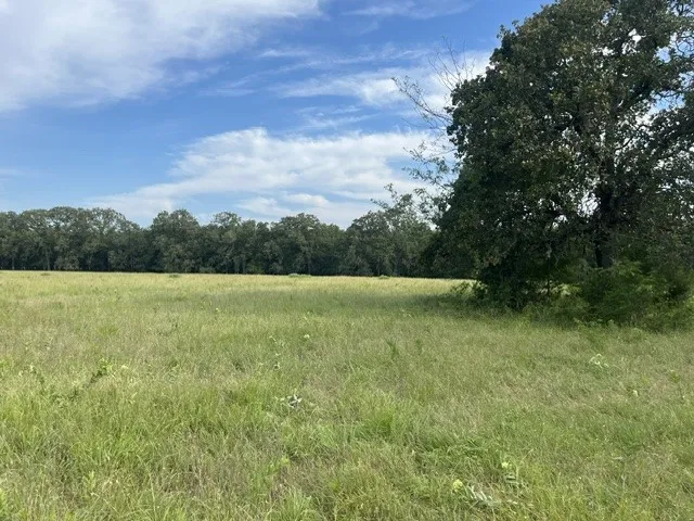 Unimproved Land For Sale in Lamar County , 000 CR 15580, Paris, Texas 75462, 0, 0, Garage spaces, 0 Sqft, built in 0, mls#21355542, Real Estate Agent in Paris, Homes For Sale in Lamar county, Homes For Sale in Paris, Realtor in Paris Texas, Real Estate Brokerage Independent Realty Texas, Luminita Cordes Realtor