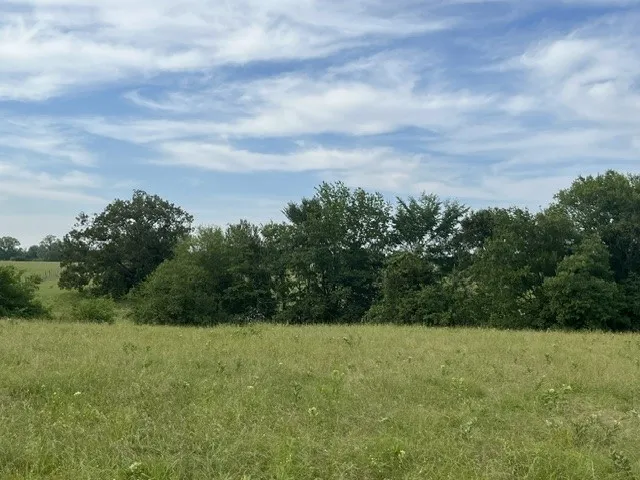 Unimproved Land For Sale in Lamar County , 000 CR 15580, Paris, Texas 75462, 0, 0, Garage spaces, 0 Sqft, built in 0, mls#21355542, Real Estate Agent in Paris, Homes For Sale in Lamar county, Homes For Sale in Paris, Realtor in Paris Texas, Real Estate Brokerage Independent Realty Texas, Luminita Cordes Realtor
