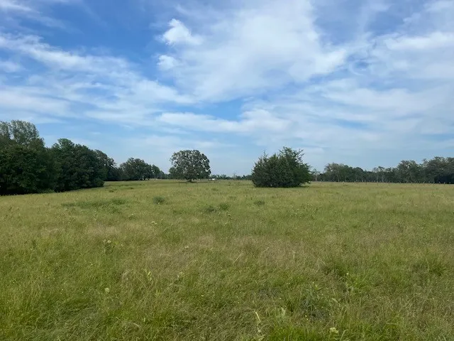 Unimproved Land For Sale in Lamar County , 000 CR 15580, Paris, Texas 75462, 0, 0, Garage spaces, 0 Sqft, built in 0, mls#21355542, Real Estate Agent in Paris, Homes For Sale in Lamar county, Homes For Sale in Paris, Realtor in Paris Texas, Real Estate Brokerage Independent Realty Texas, Luminita Cordes Realtor