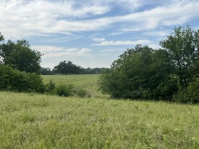 Unimproved Land For Sale in Lamar County , 000 CR 15580, Paris, Texas 75462, 0, 0, Garage spaces, 0 Sqft, built in 0, mls#21355542, Real Estate Agent in Paris, Homes For Sale in Lamar county, Homes For Sale in Paris, Realtor in Paris Texas, Real Estate Brokerage Independent Realty Texas, Luminita Cordes Realtor