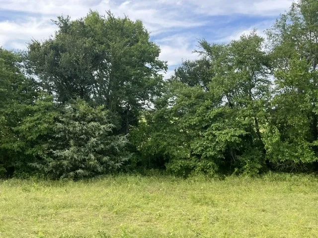 Unimproved Land For Sale in Lamar County , 000 CR 15580, Paris, Texas 75462, 0, 0, Garage spaces, 0 Sqft, built in 0, mls#21355542, Real Estate Agent in Paris, Homes For Sale in Lamar county, Homes For Sale in Paris, Realtor in Paris Texas, Real Estate Brokerage Independent Realty Texas, Luminita Cordes Realtor