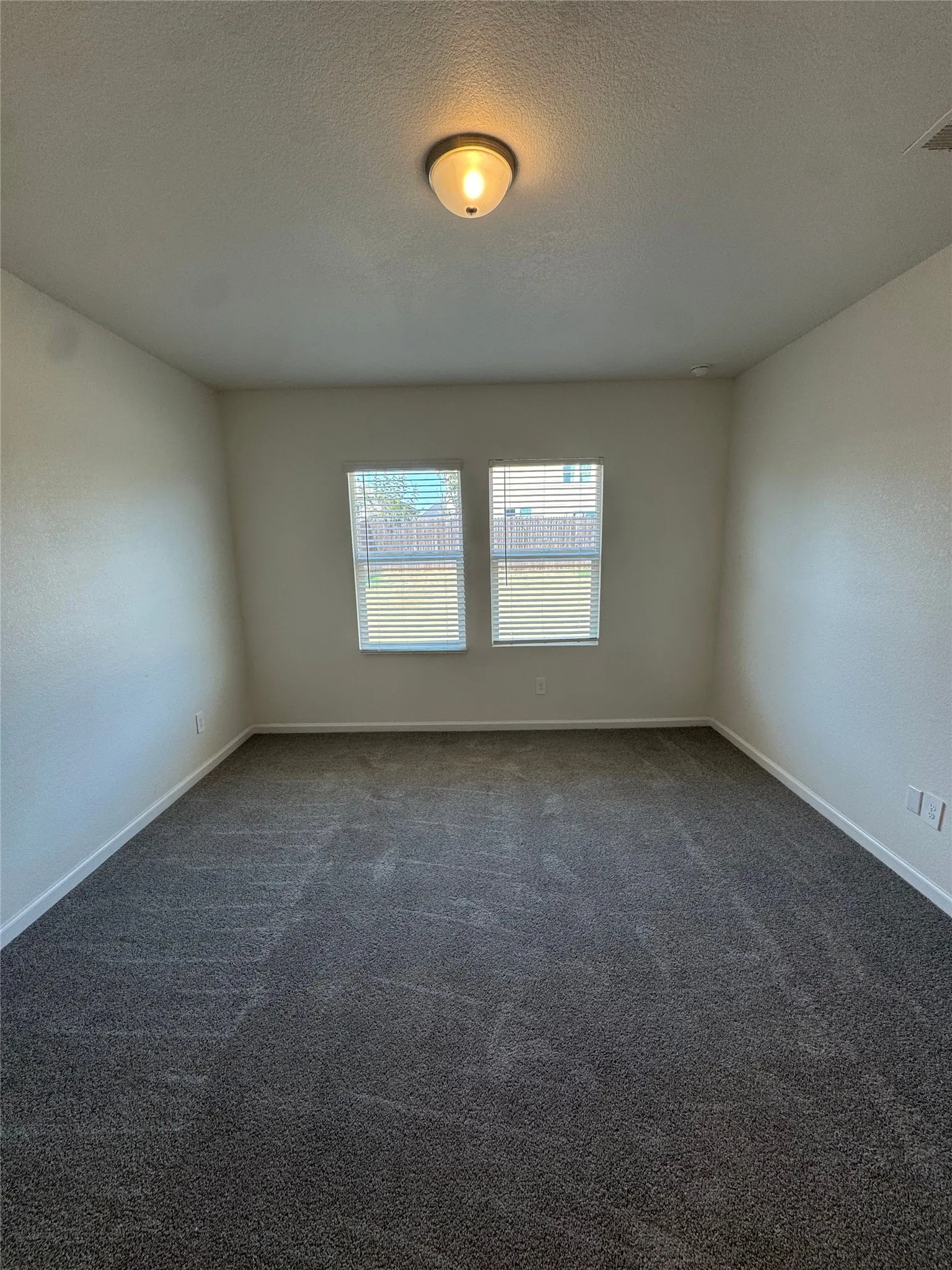 Textured gray carpeting, two windows with horizontal blinds, flush-mount ceiling light fixture, and light-toned wall finishes