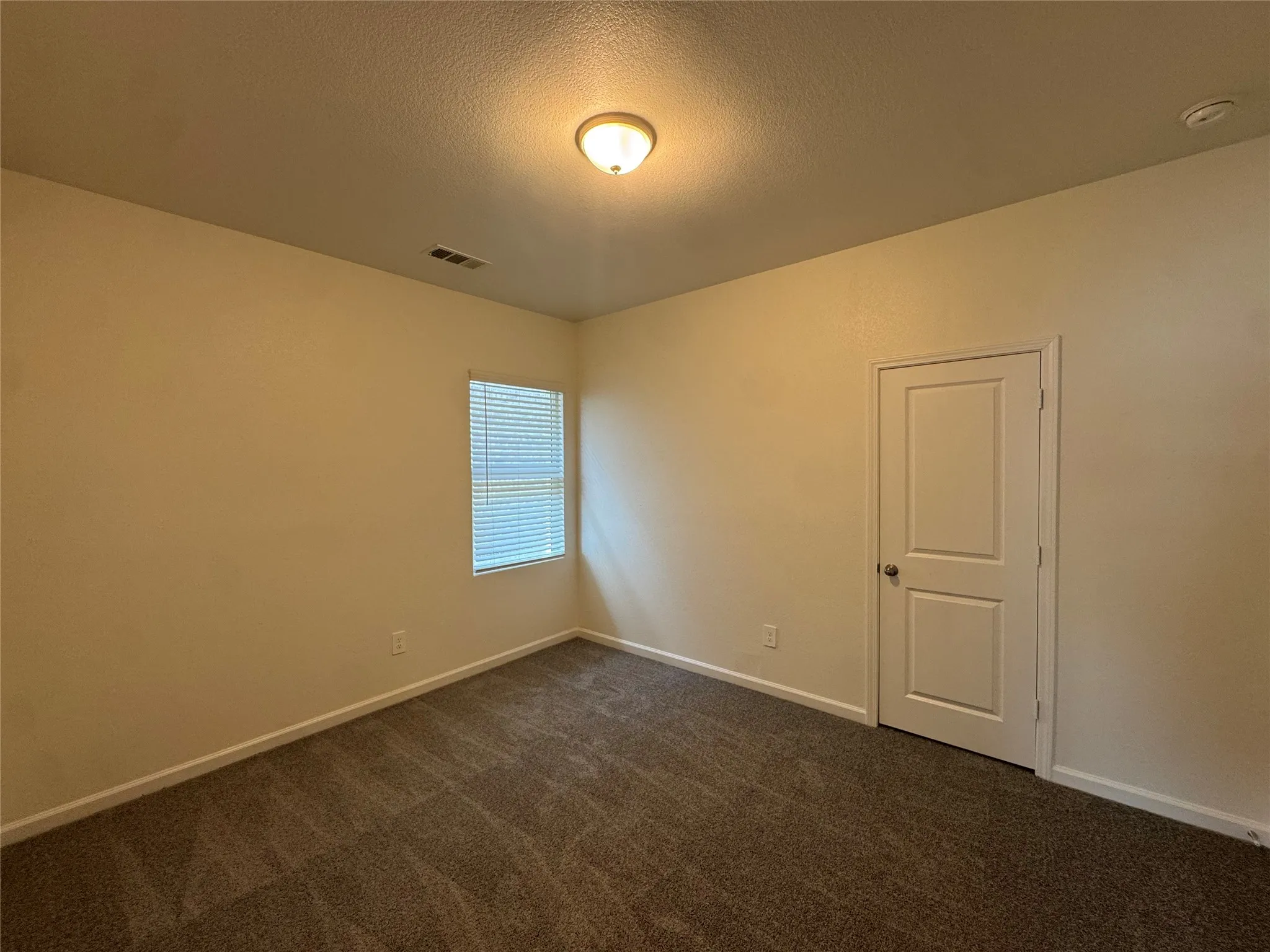 Neutral wall tones, textured carpet flooring, ceiling-mounted light fixture, white interior door, and a window with blinds