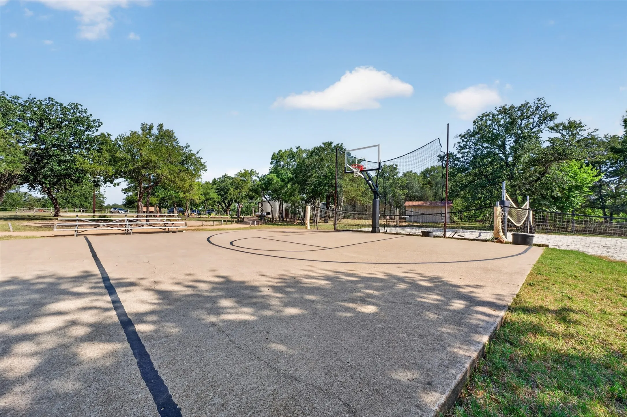 Outdoor concrete court featuring a basketball hoop, volleyball net, and surrounding mature trees