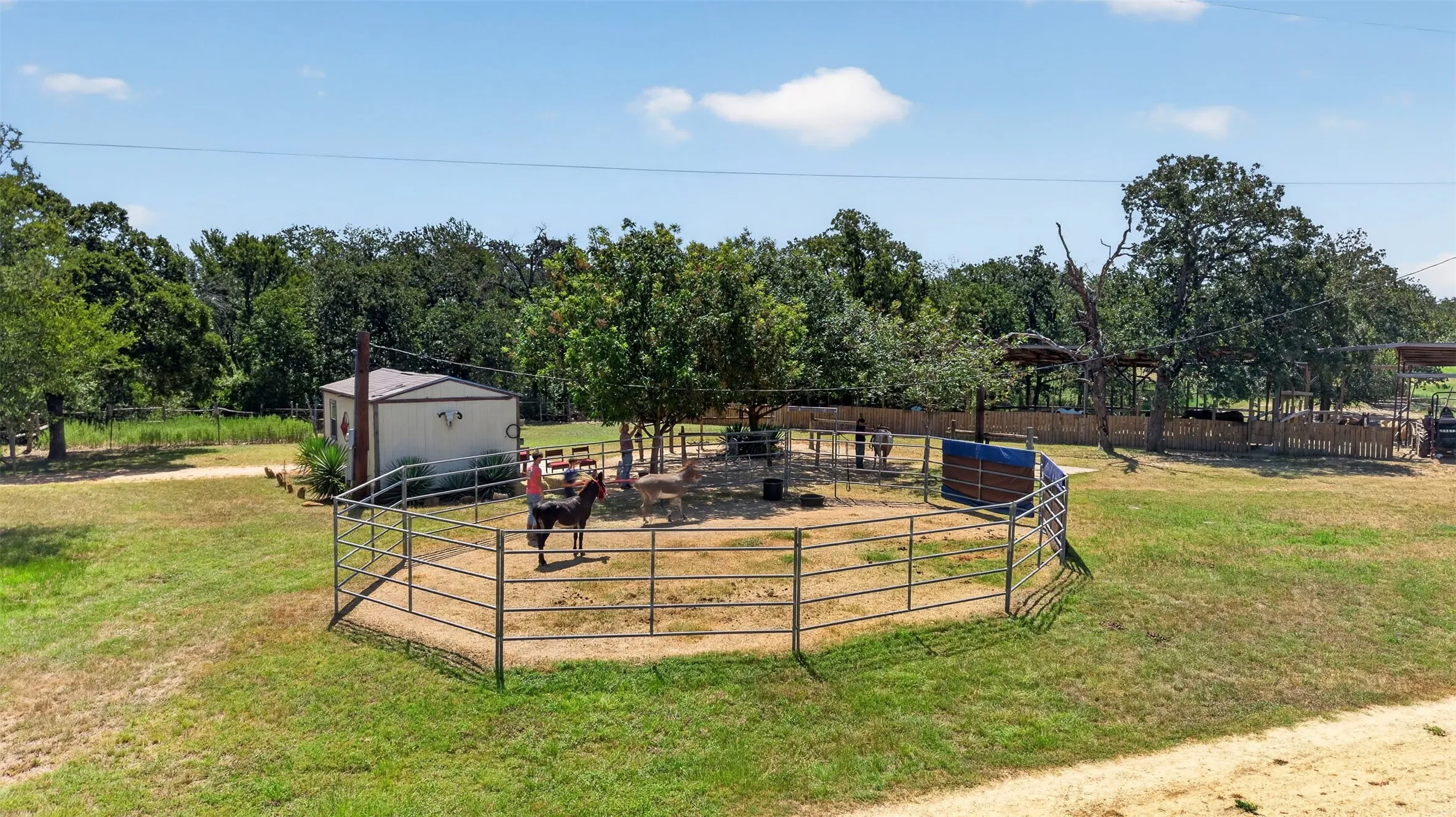 Spacious equestrian facility featuring a large circular pen with metal rail fencing, mature shade trees throughout the property, a storage structure, and expansive pastureland ideal for livestock management