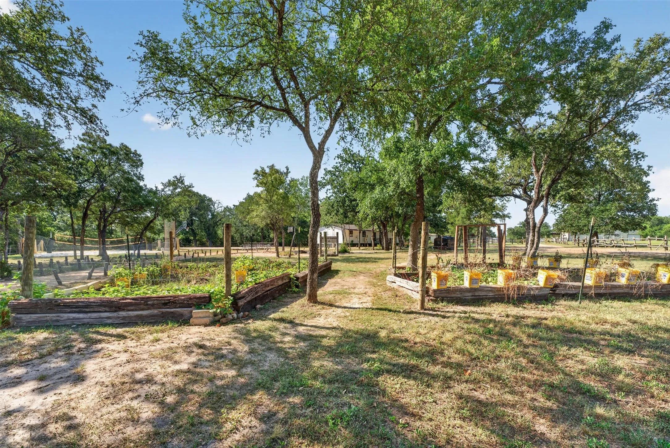 Business For Sale in Milam County , 2274 County Road 203 Loop, Cameron, Texas 76520, 0, 0, Garage spaces, 0 Sqft, built in 2005, mls#21355481, Real Estate Agent in Cameron, Homes For Sale in Milam county, Homes For Sale in Cameron, Realtor in Cameron Texas, Real Estate Brokerage Independent Realty Texas, Luminita Cordes Realtor