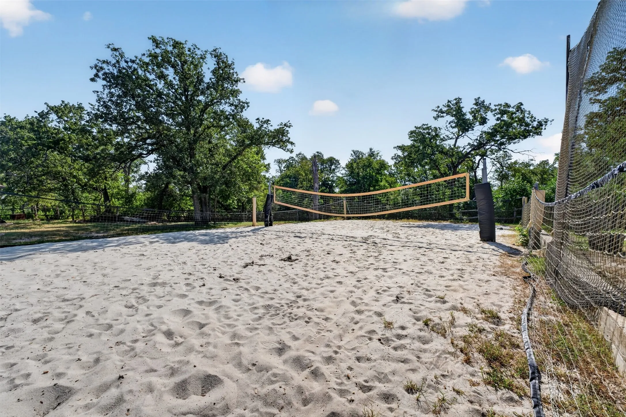 Recreational sand court with professional-grade volleyball net, mature tree canopy providing natural shade, and perimeter fencing
