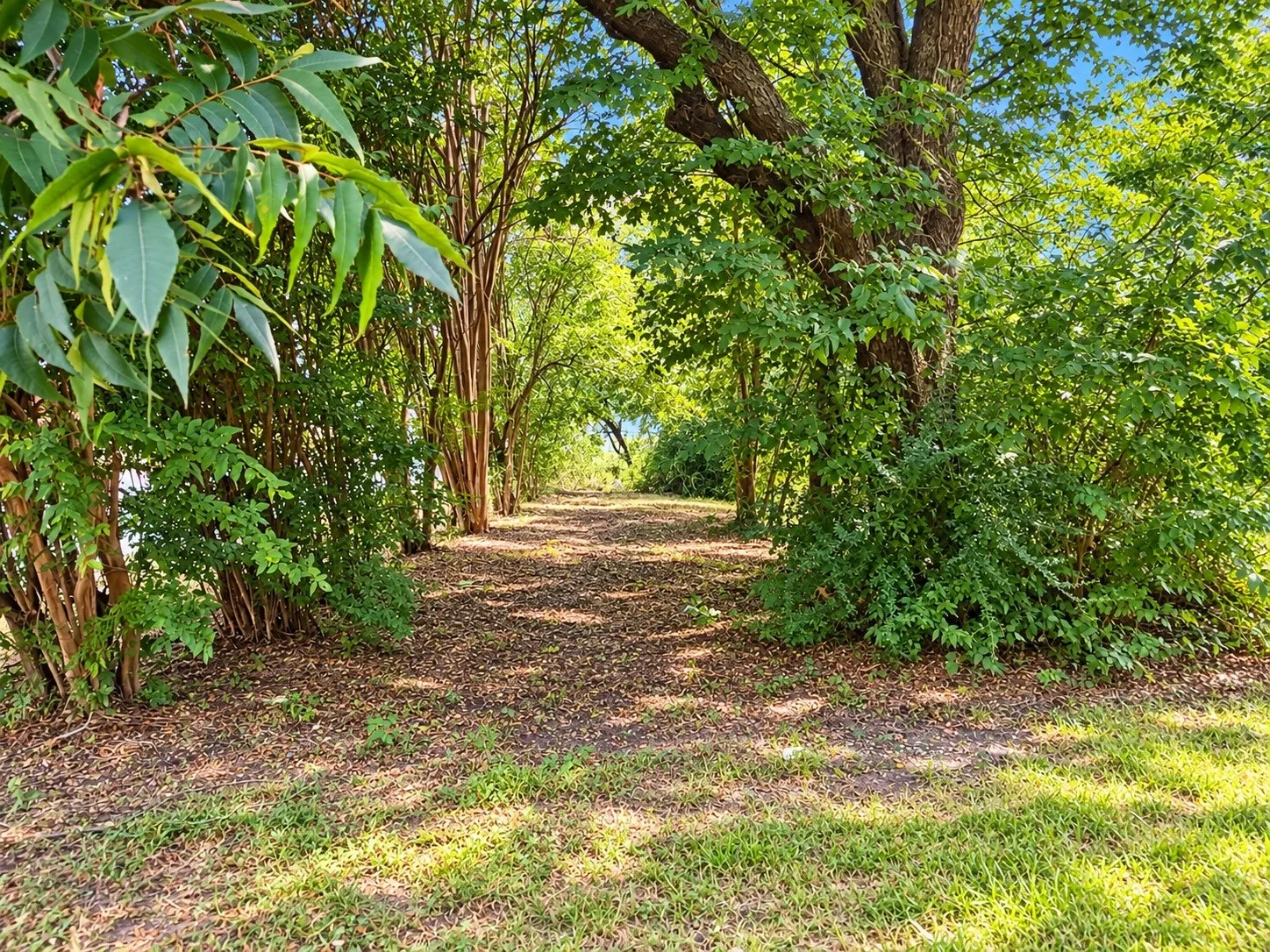 Improved Land For Sale in Dallas County , 315 E Belt Line Road, Wilmer, Texas 75172, 0, 0, Garage spaces, 0 Sqft, built in 0, mls#21355615, Real Estate Agent in Wilmer, Homes For Sale in Dallas county, Homes For Sale in Wilmer, Realtor in Wilmer Texas, Real Estate Brokerage Independent Realty Texas, Luminita Cordes Realtor