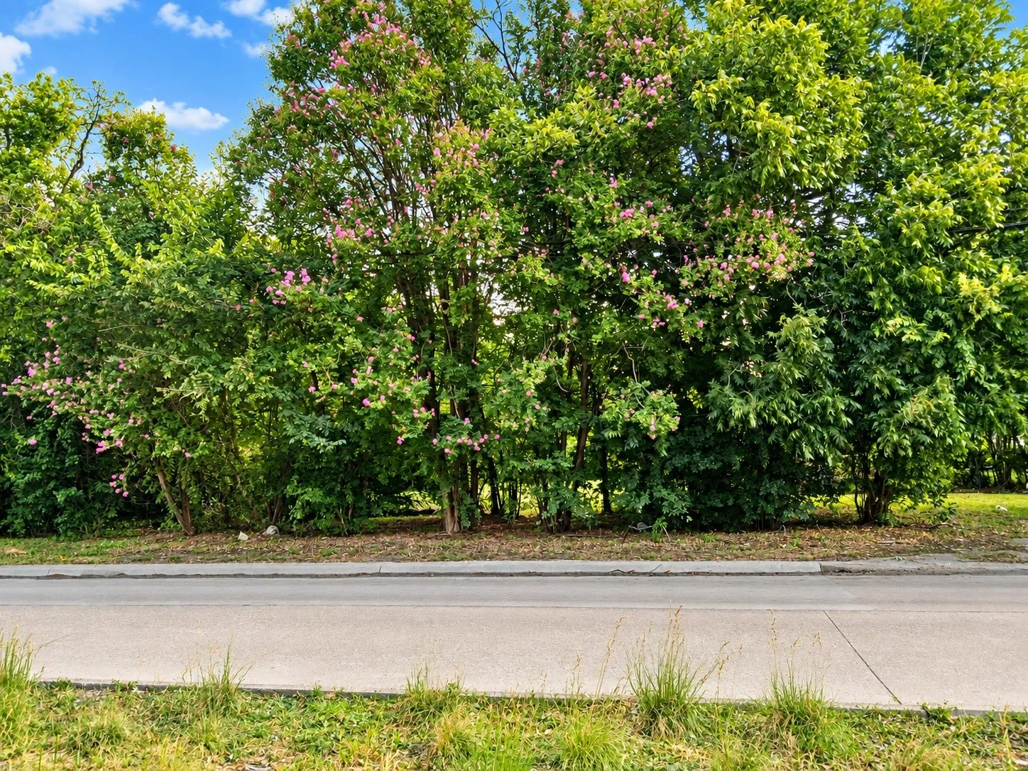 Improved Land For Sale in Dallas County , 315 E Belt Line Road, Wilmer, Texas 75172, 0, 0, Garage spaces, 0 Sqft, built in 0, mls#21355615, Real Estate Agent in Wilmer, Homes For Sale in Dallas county, Homes For Sale in Wilmer, Realtor in Wilmer Texas, Real Estate Brokerage Independent Realty Texas, Luminita Cordes Realtor