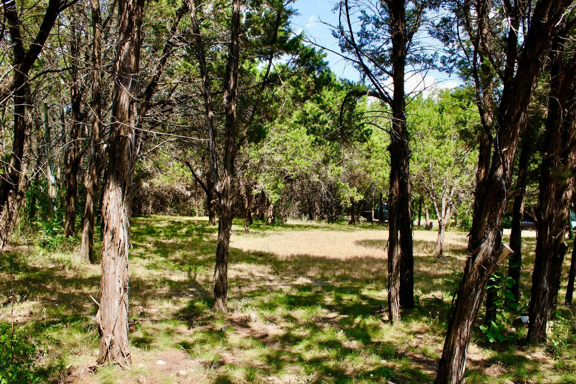 Mature tree-lined grounds offering natural shade and pastoral setting